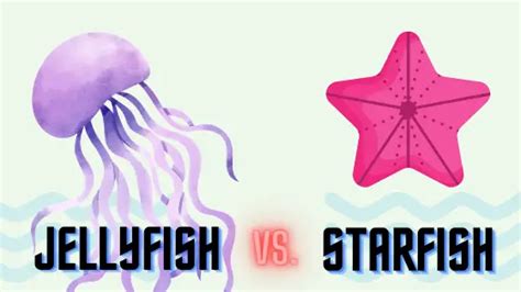 are jellyfish and starfish similar to catfish